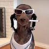 im_non_bidenary