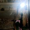 yani.._15