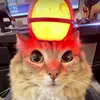 lubie_kroic_cebule_
