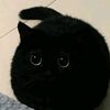 suma_.loki._