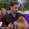 josephjoeanoai0