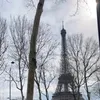 leidyclis36_