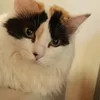 francocendra_