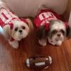 mollyandsadie11