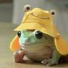 froggie5633