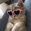 ilikehee1510