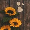 💜🌻