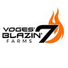 vogesblazin_7s