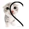 qnss.ara_