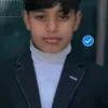 h_x338