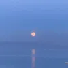 imdonehidingonnabegolden