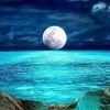 bluecryptogirl