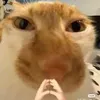 meocammmm5