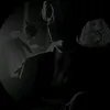 akitamcyt