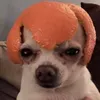 qipr_hwn