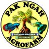 pak_ngah_agrofarm