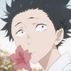 sagi_nyx