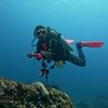 Roth  Khmer  Female  Diver