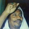 amaniabdelwahab5