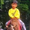 lembulestari_blantik