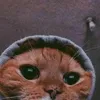 usern0gb3b72ug