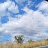 danna_caceres6