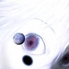 Wary