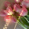 user2120861684617