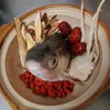 user9882425439280l..rat