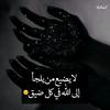 shimaa_mohsen49