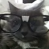tenzuu0