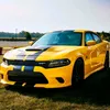 tarane_713
