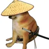 dominguito008