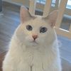 helloimtubbs