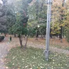 mircea.41