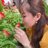 duongbichvan85