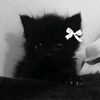 kittyyuuhh0