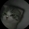 iloveskibidi7