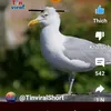 leo_haimanhhouse