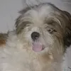 stephensebastian10