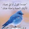 mahmed4456
