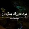 islam_religion_de_paix1