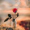 irfansagar029