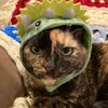 amandaporterhouse