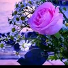 user9667472681744user1