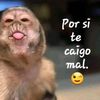 .ro_ma4
