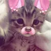 stichedmyhrt.z