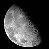 moonlite499