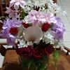 faridah_66