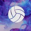 voleyball033